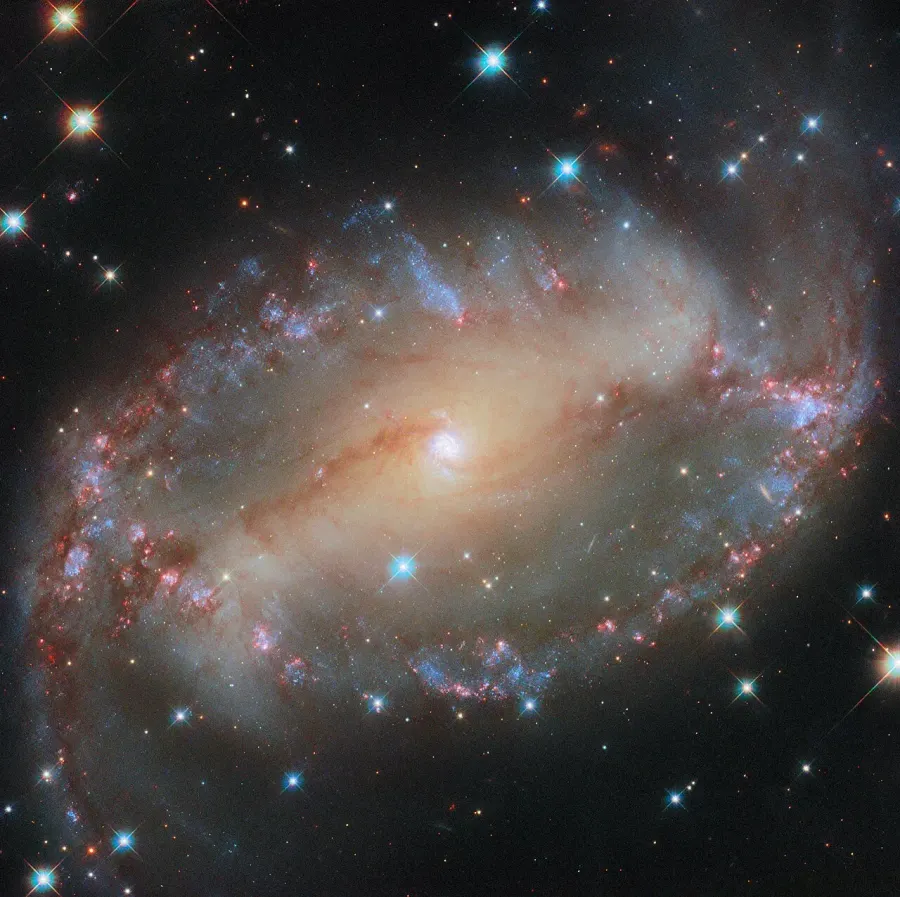 La carte NGC 2566