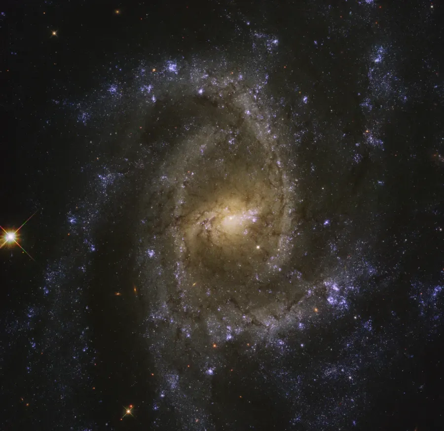 La carte NGC 2835