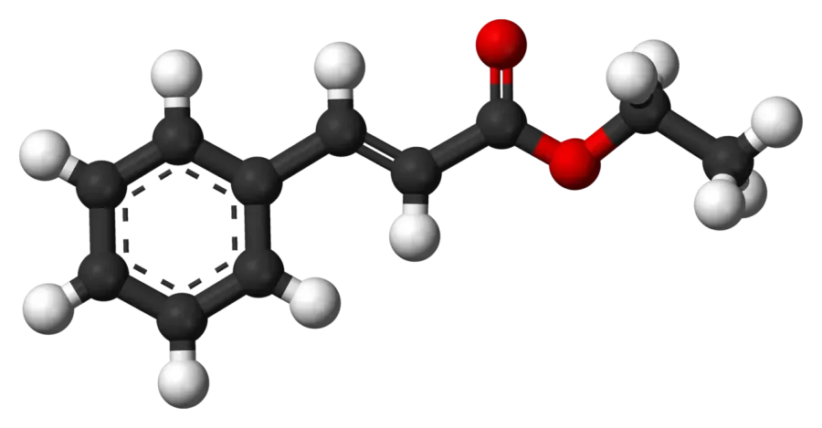 The Ethyl cinnamate card