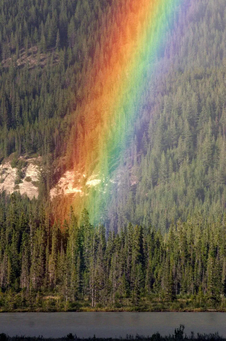The Rainbow card