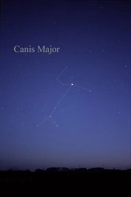The Canis Major card
