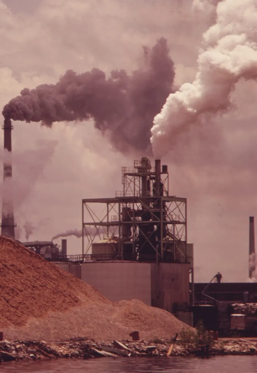 The Right to a healthy environment card
