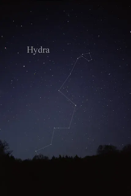 The Hydra card