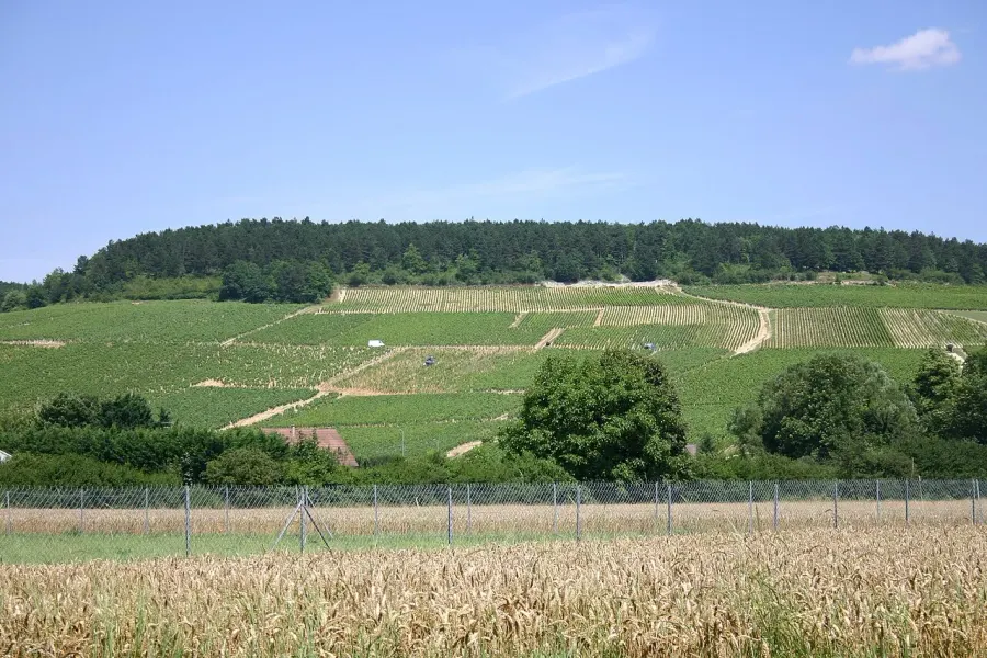 La carte Chablis