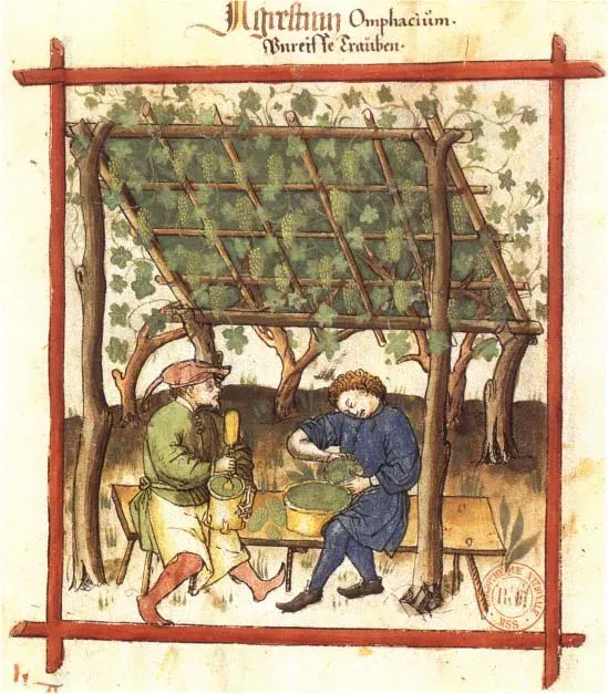 The Verjuice card