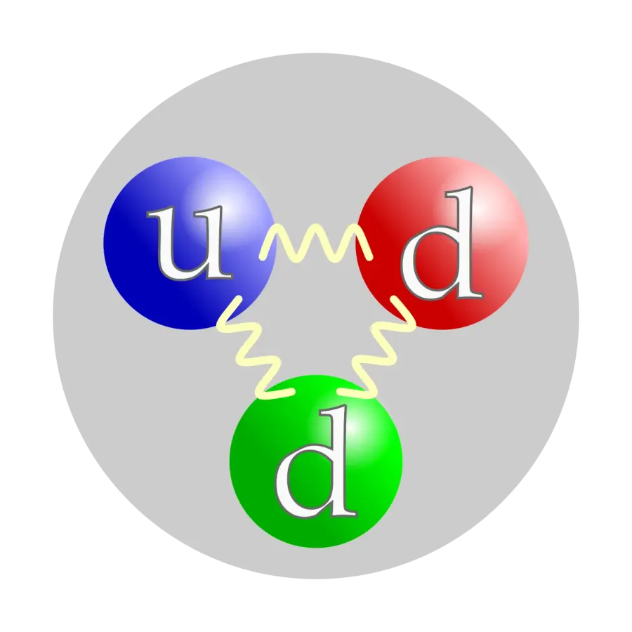La carte Capture neutronique