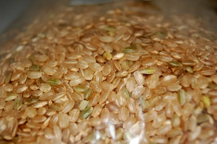La carte Riz complet