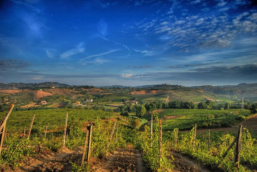 La carte Chianti