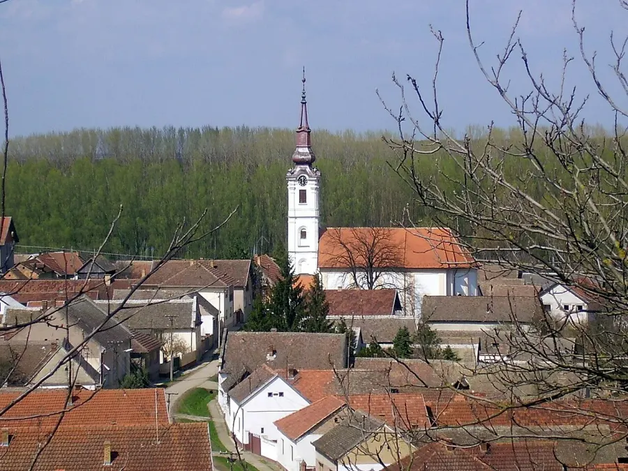 The Neštin card