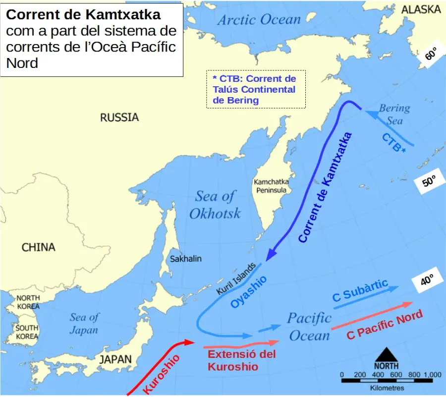 The Kamchatka Current card