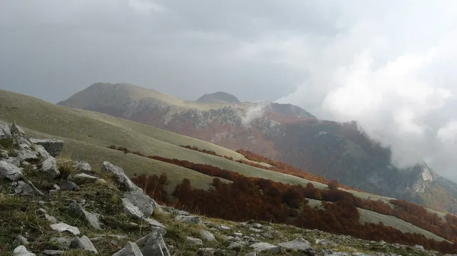 The Pollino National Park card