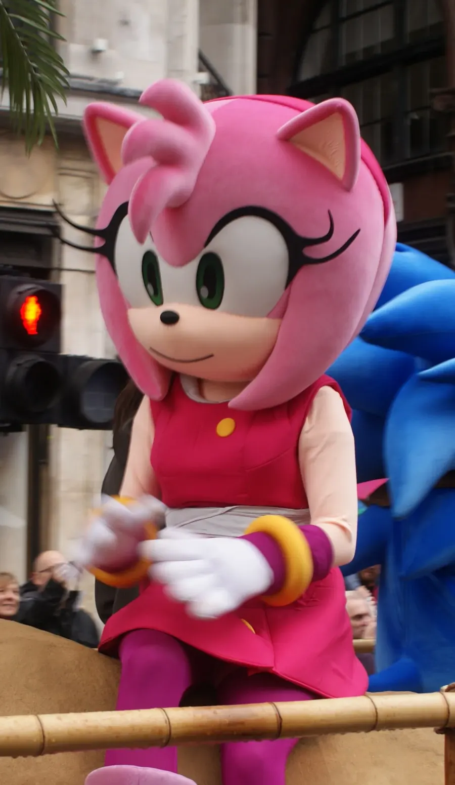 La carte Amy Rose