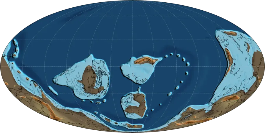 The Early Ordovician card