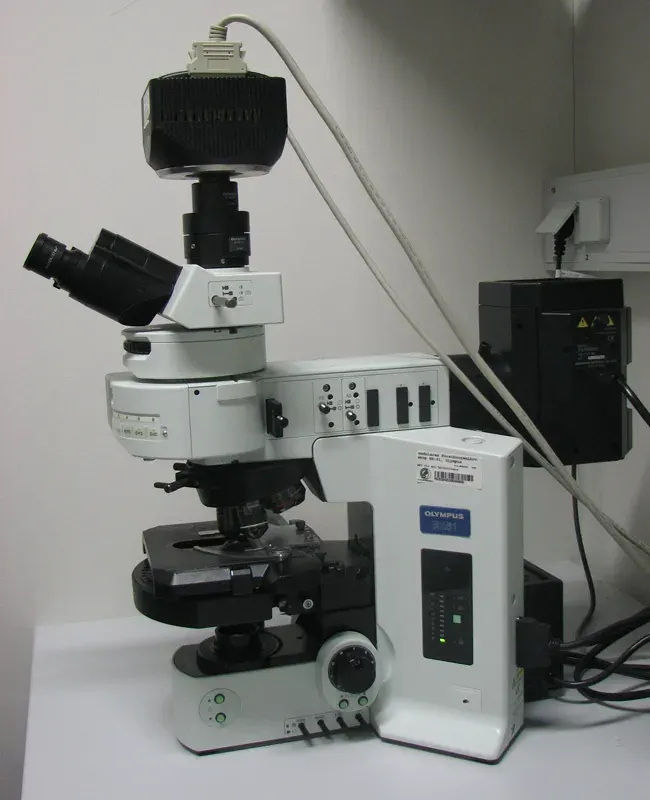 La carte Microscopie