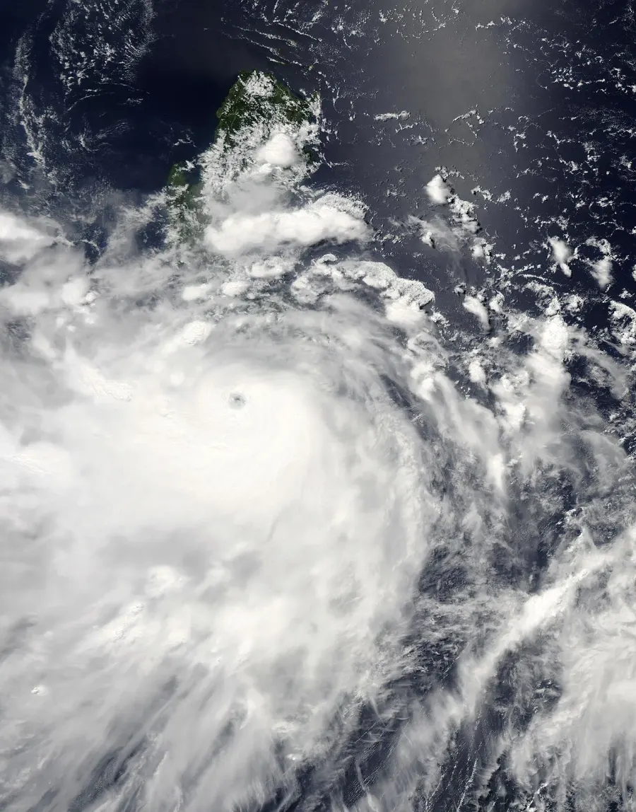 The Typhoon Fengshen card