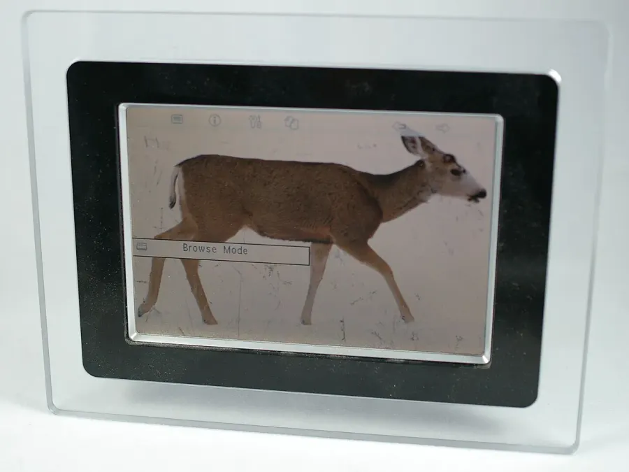 The Digital photo frame card