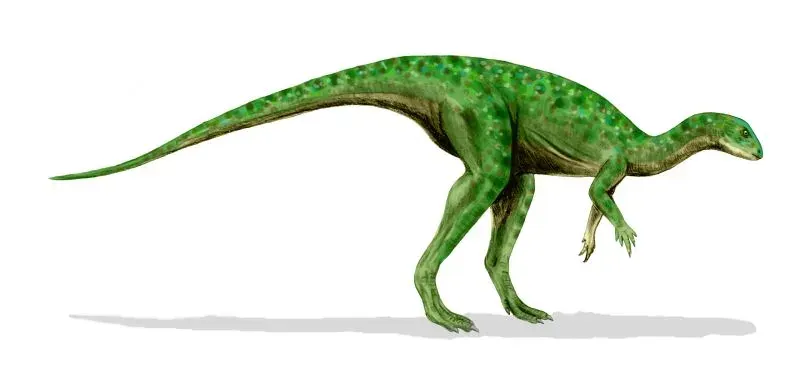 The Othnielosaurus card