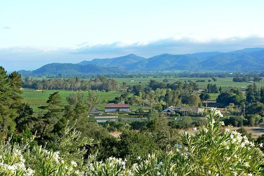 The Napa County, California card