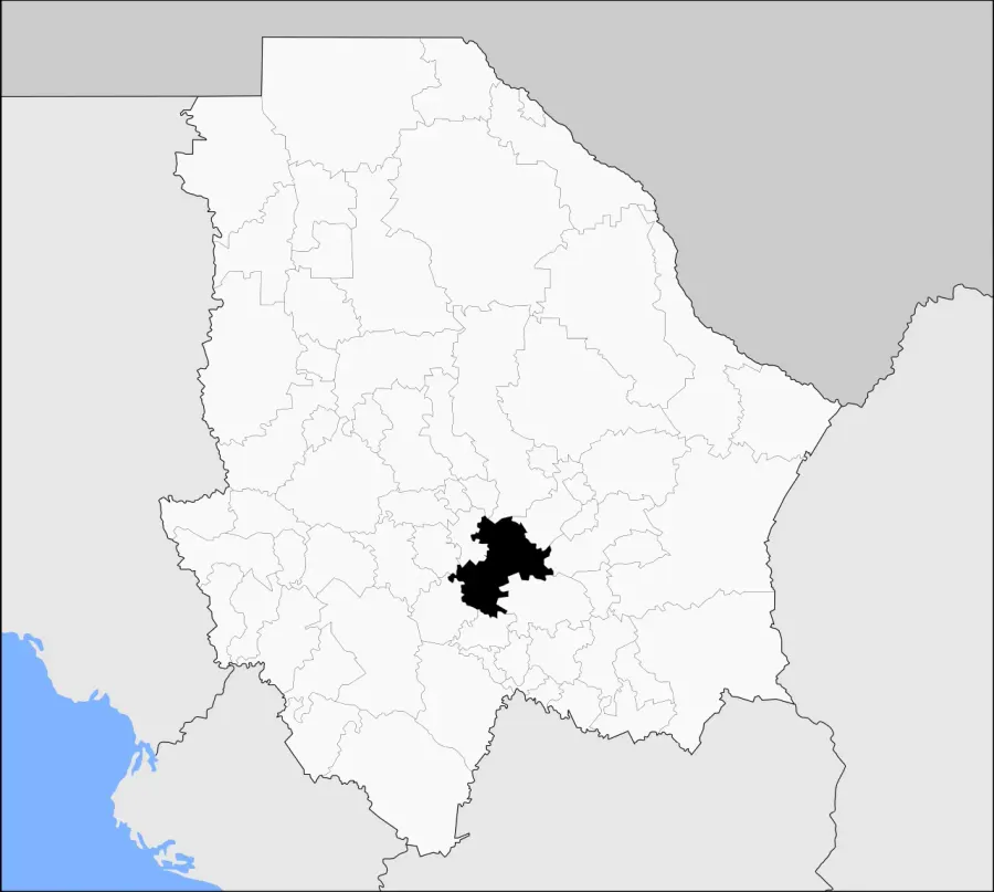 The Satevó Municipality card