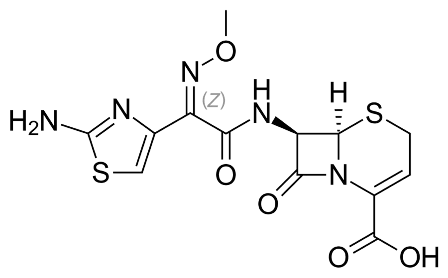 The Ceftizoxime card