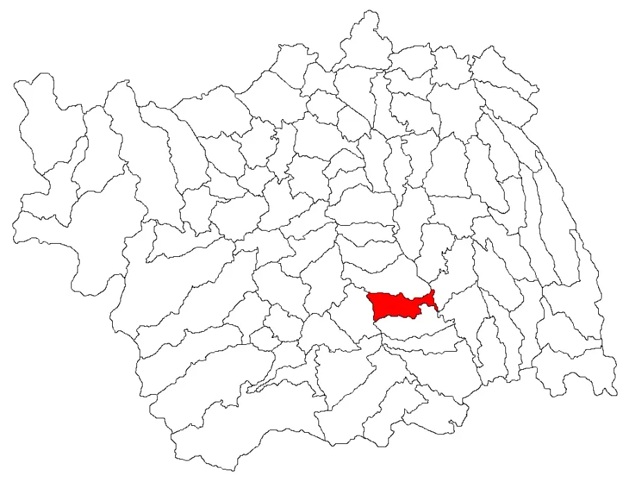 La carte Parava