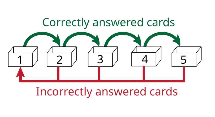 The Spaced repetition card