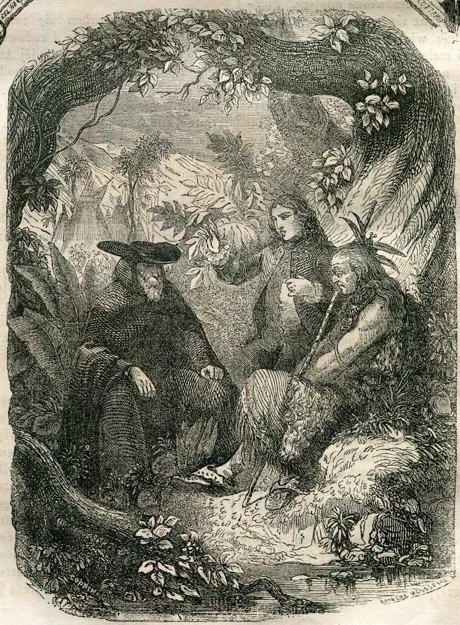 The René card
