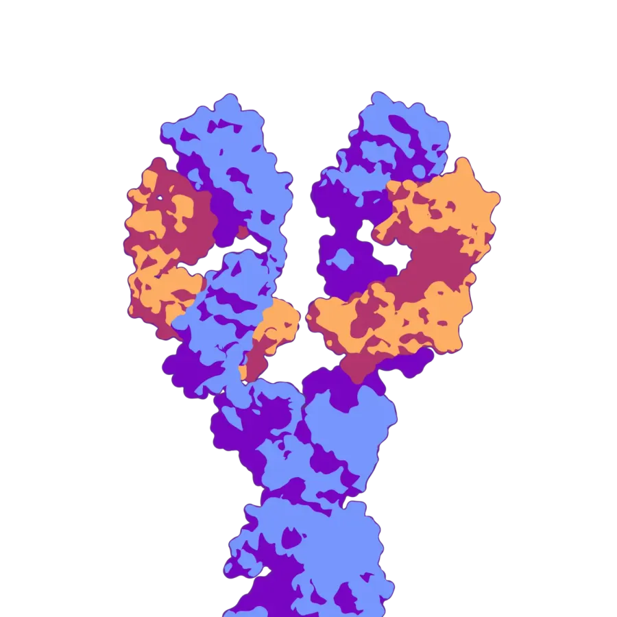 The B-cell receptor card