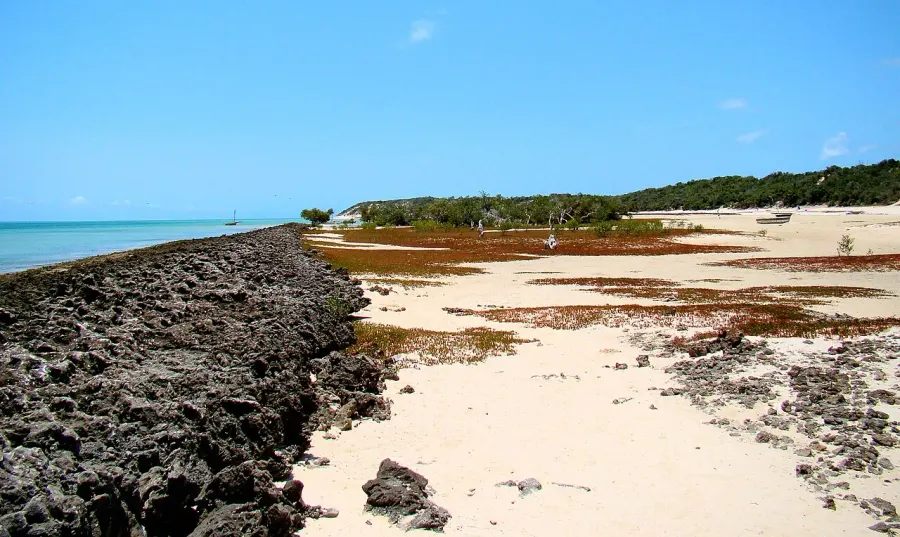 The Bazaruto Archipelago National Park card
