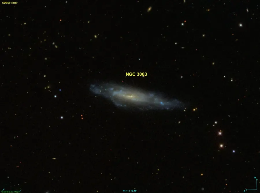 La carte NGC 3003