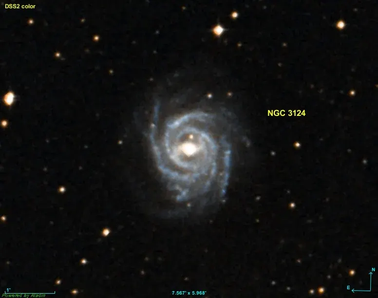 La carte NGC 3124