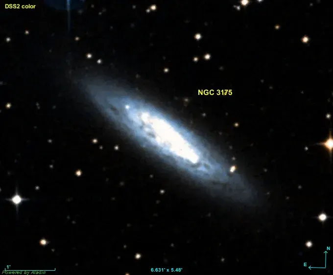 The NGC 3175 card
