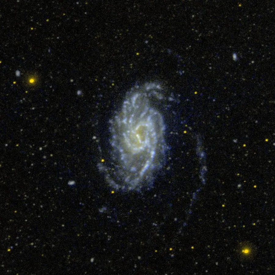 The NGC 3359 card