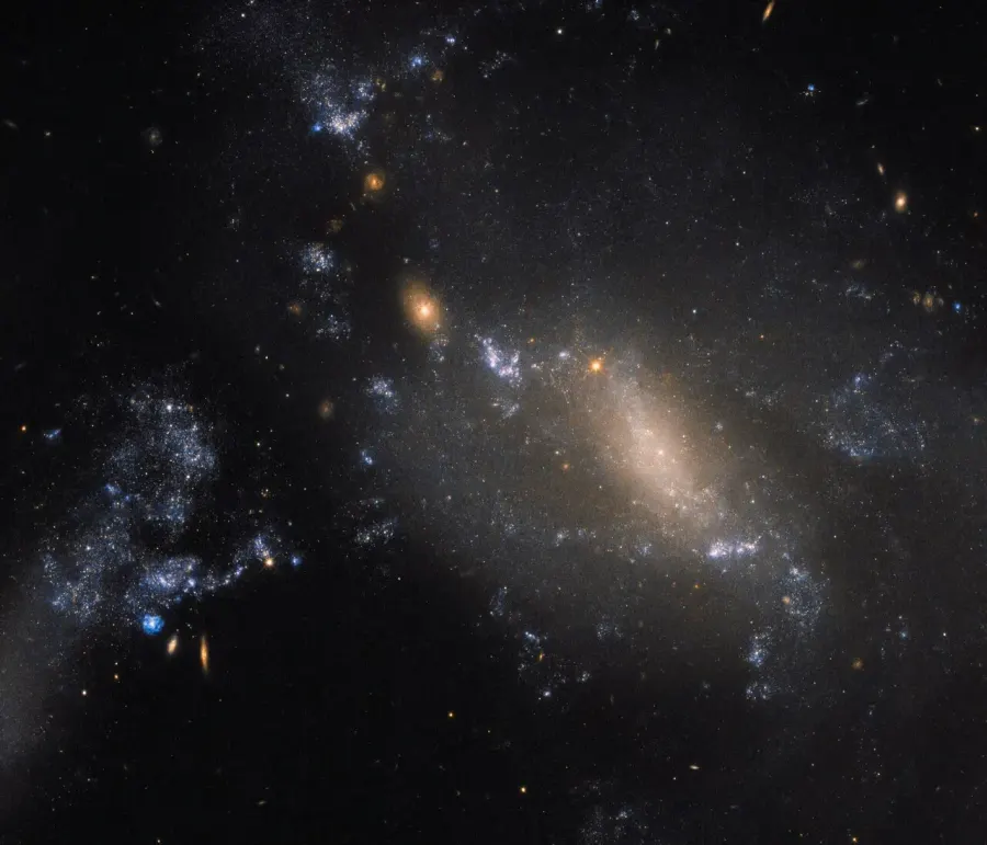 The NGC 3447 card