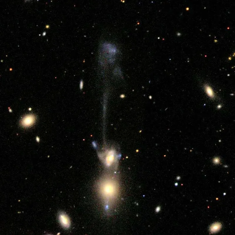 La carte NGC 3561