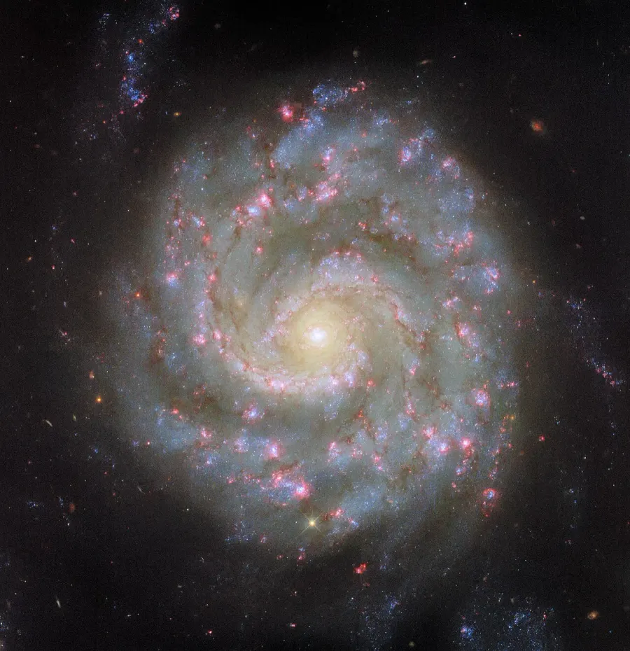 The NGC 3596 card