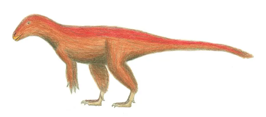 The Aviatyrannis card