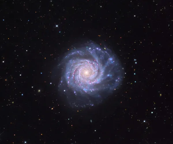The NGC 3938 card