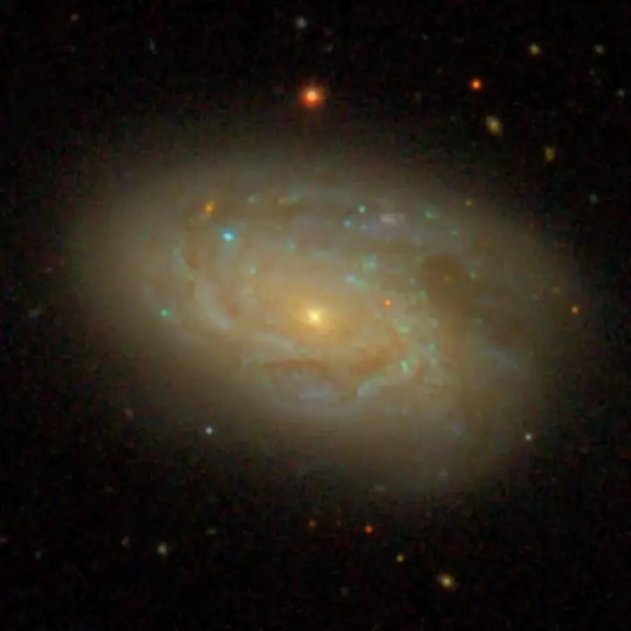 La carte NGC 4208