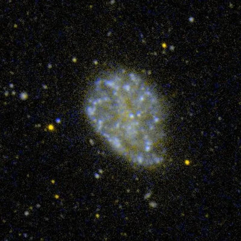The NGC 4242 card