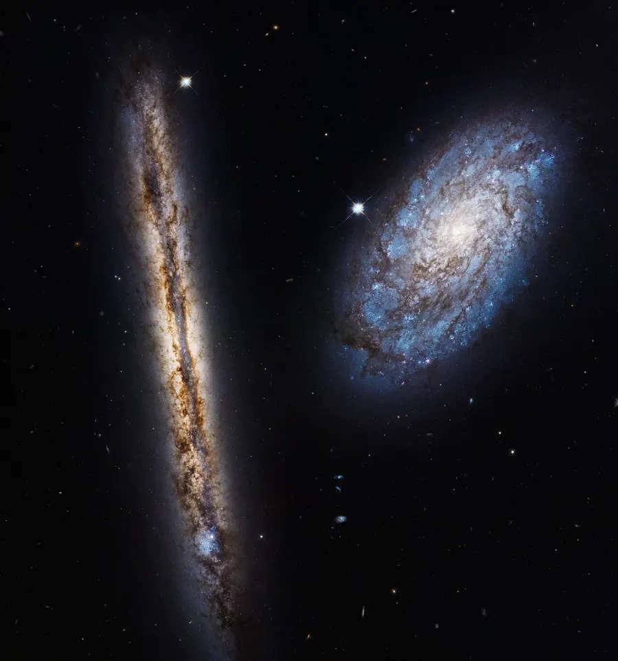 La carte NGC 4302