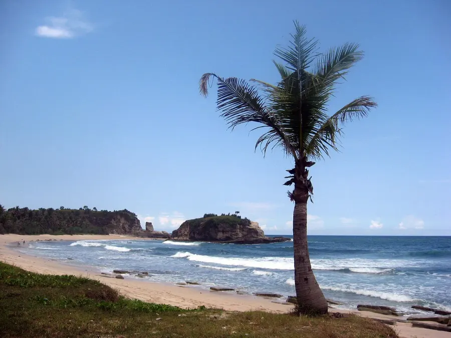 The Pacitan Regency card
