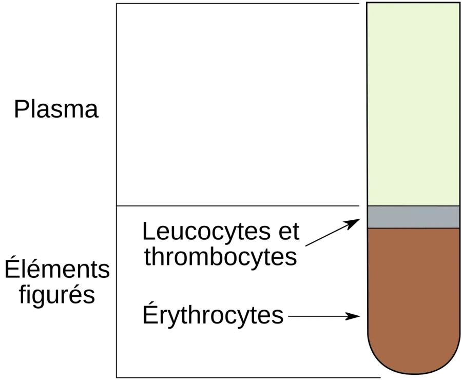 The Hematocrit card