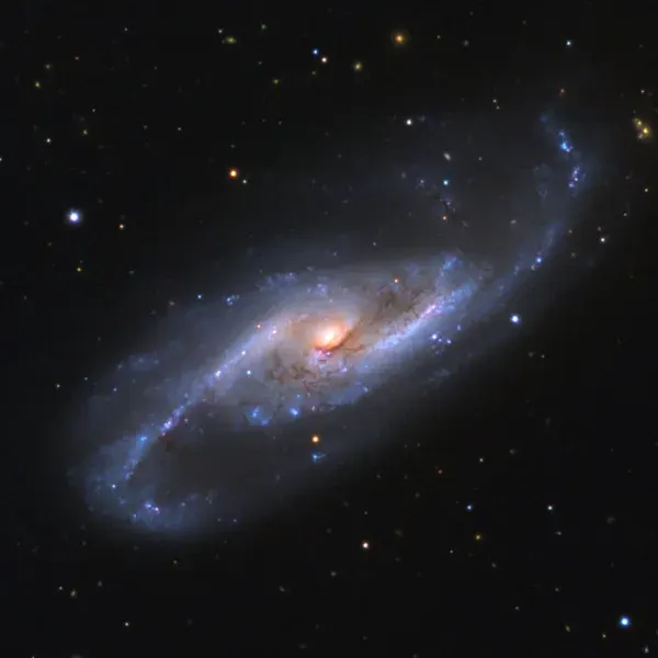The NGC 4536 card