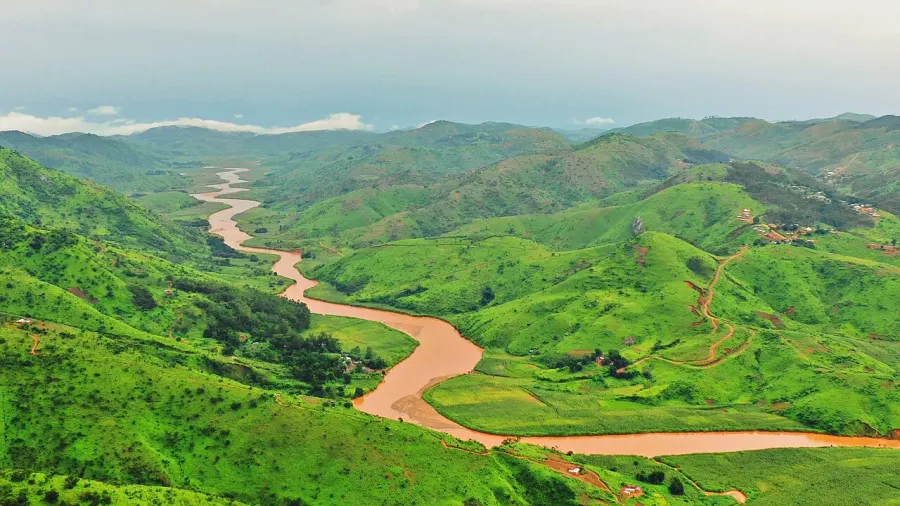 The Donga River card