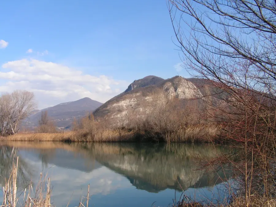 The Provaglio d'Iseo card