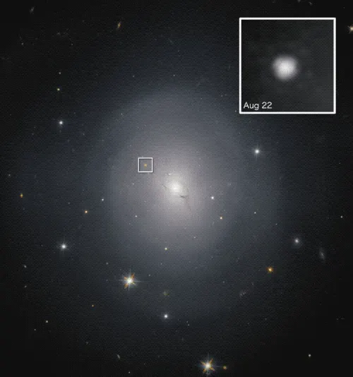 La carte NGC 4993