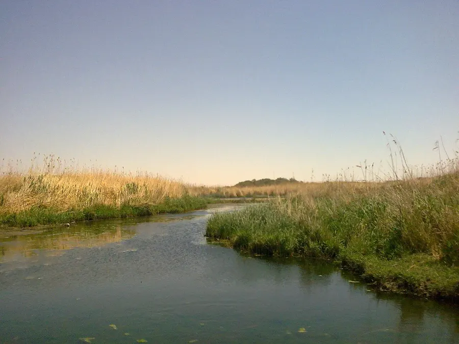 The Azraq Wetland Reserve card
