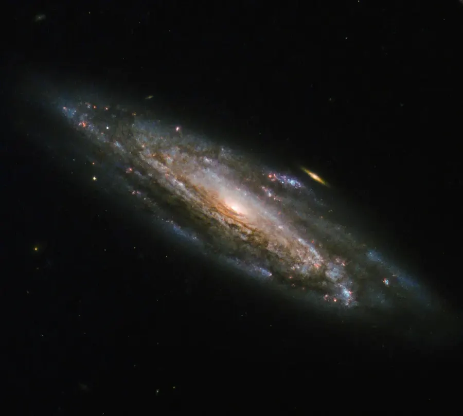 La carte NGC 5559