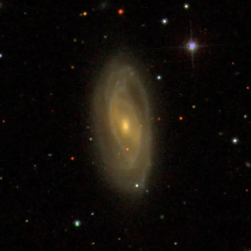 La carte NGC 5619